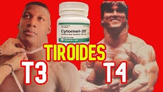 The Thyroid Hormone Most Used by Bodybuilders