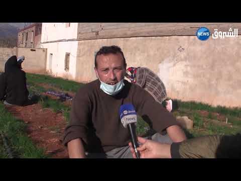 زراعة الذهب الأحمر قصة عائلة رحال مع الزعفران