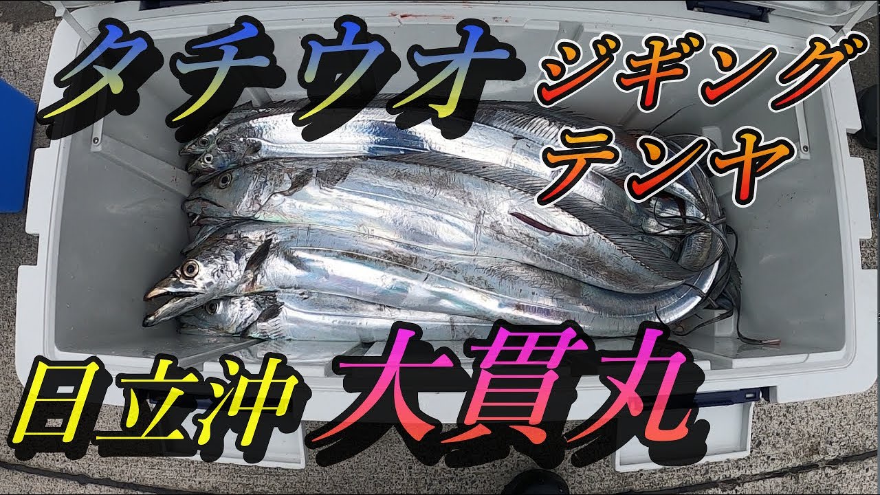 タチウオ 釣り 船釣り ジギング テンヤ 日立沖 大貫丸 太刀魚ドラゴンモンスターサイズ