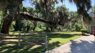 A Musical Mow-Down at Single Mom Rescue’s Yard - DJI Osmo Mobile 2 Cell Phone Gimbal