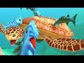 BARRACUDA FAMILY vs SEA TURTLE - Feed and Grow Fish - Part 94 | Pungence