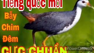 Tiếng chim quốc đánh đêm đá loa