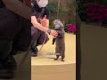 Otter Core 🦦: Cute & Funny Otter Moments