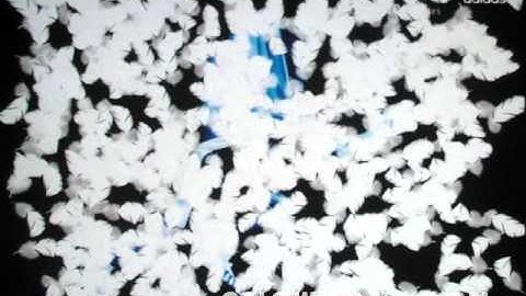 RichTech interactive effect-feather