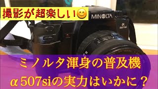 ミノルタα507siの能力は？モノクロフイルムで撮影しました！ #フイルム