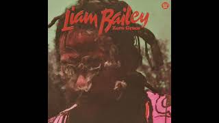 Liam Bailey - Light Up The Darkness