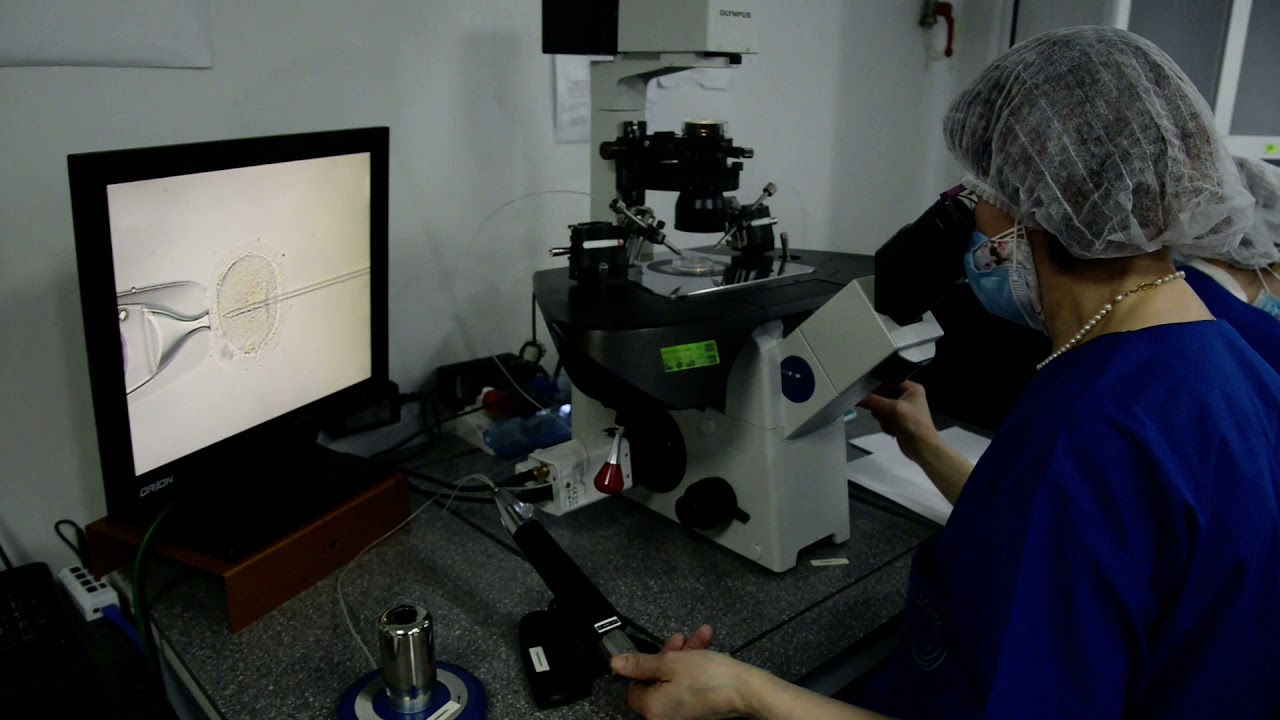 Geste de la micro injection ( ICSI)