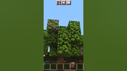 RAREST TREE IN MINECRAFT!