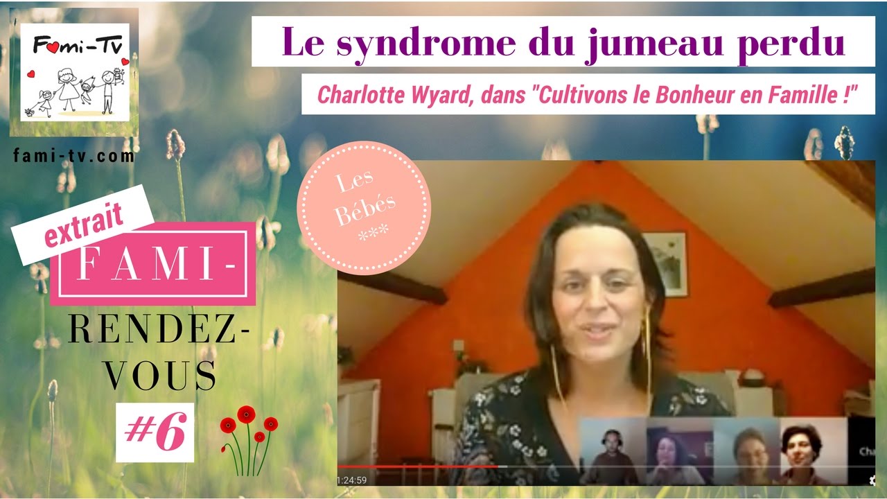 Le Syndrome Du Jumeau Perdu Pdf Gratuit