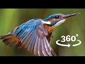      360    