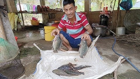 GIĂNG LƯỚI DÍNH CÁ RÔ PHI CÁ LAO KIẾN CON NÀO CON NẤY BỰ CHÀ BÁ, THẠCH NGUYỄN VLOG