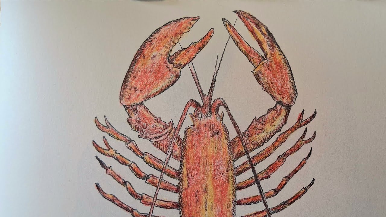 The Art of Nature: Coloring a Lobster