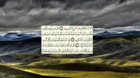 صفحة-135 page سعد الغامدي - -سورة الانعام -al an'am