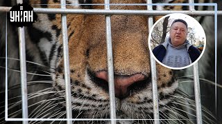 Животных из разрушенного зоопарка в Харькове придется усыпить — депутат Фельдман