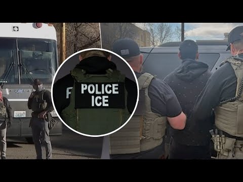 What Is An Ice Special Agent