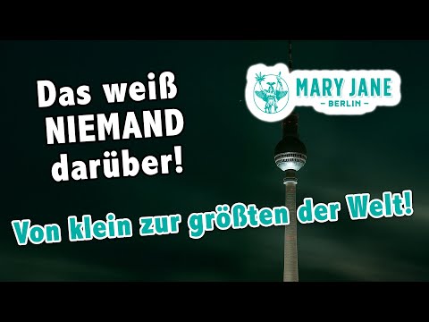 Blick hinter die Kulissen der größten C4nn4bis Messe der Welt