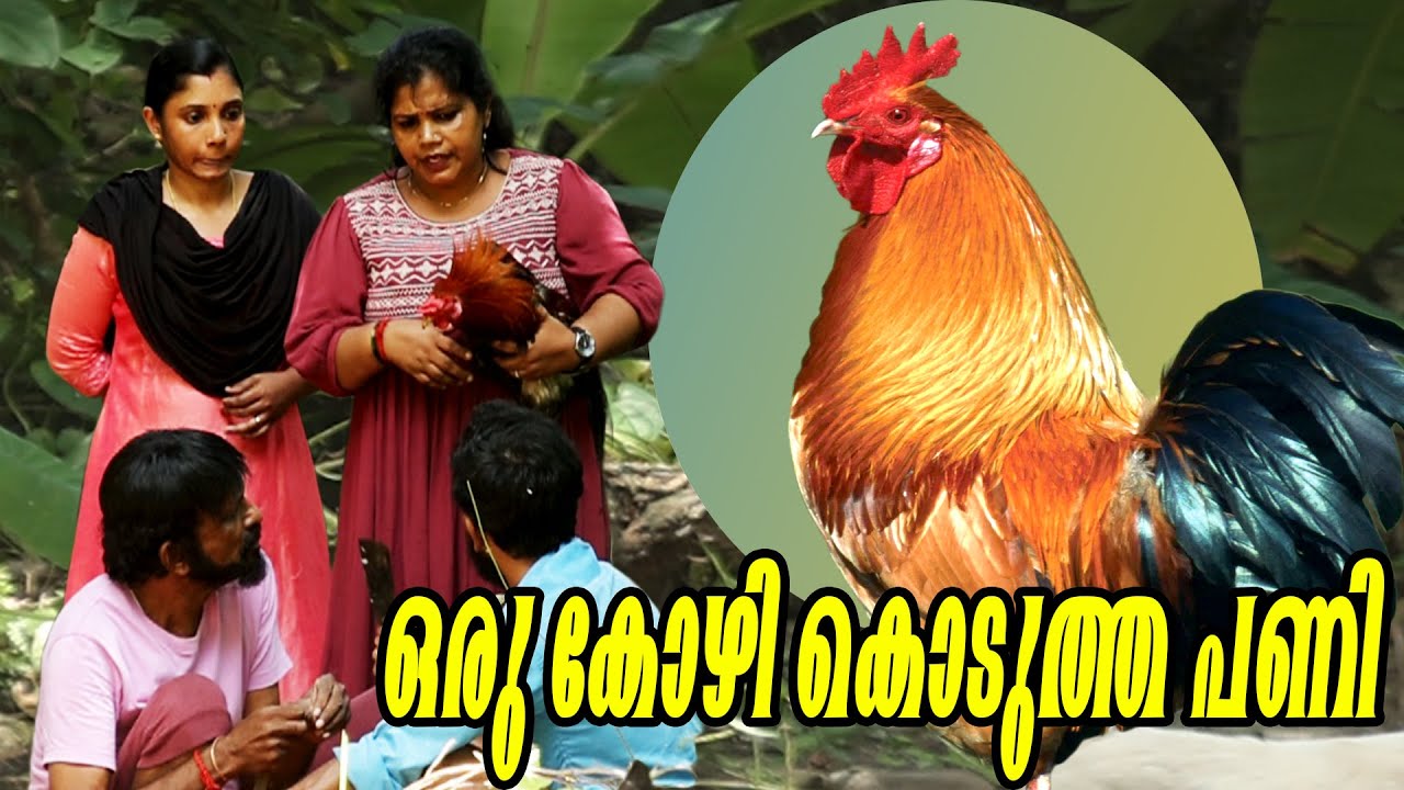 ഒരു കോഴി കൊടുത്ത പണി | @Bigpranks |  Ep 59