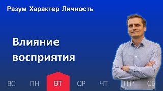 Влияние восприятия | 04.04 | Разум Характер Личность - День за днем