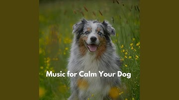 Sultry Electric and Acoustic Piano - Vibe for Forgetting Mirrors