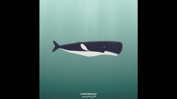 ‏قران كريم بصوت إسلام صبحي|حالات واتس اب دينية _سورة الانبياء