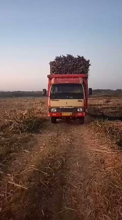 Sewates kerjo versi truk tebu