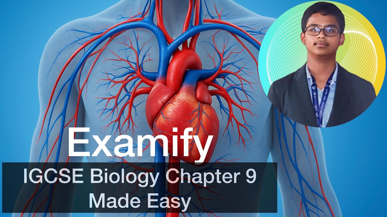 IGCSE Biology Revision: Chapter 9 | Transport in Humans Made Easy | 2026-28 Syllabus