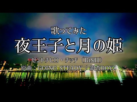 【歌ってみた】夜王子と月の姫－セントチヒロ・チッチ covered ver.