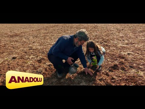 Şahin-Çokbilir---bilir-misin-/-enstrumantal-(official-video)