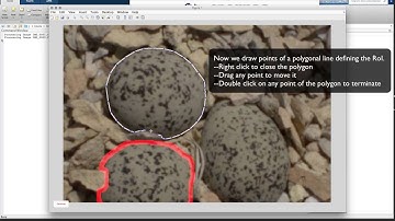 SpotEgg Video Tutorial (3/4): Defining Region of Interest