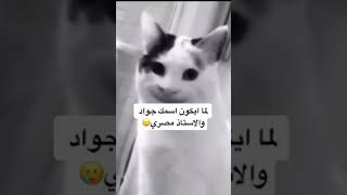 منشنوا اسم جواد🤣🤣👌🏿