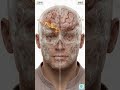 Fast Food vs Home Food — What It Does To YourOrgans In 30 Days (John vs Mike) #humanbody #health #yt