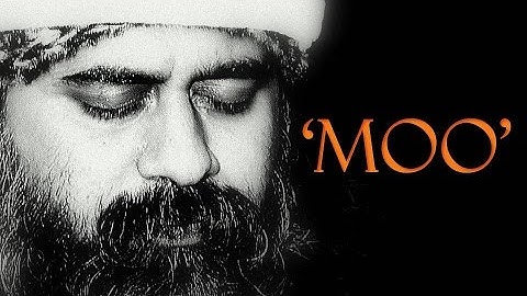 The only right answer to all real questions || Acharya Prashant, on Zen (2016)