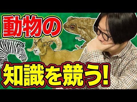 毒吐きコブラの尻尾は何センチ？動物知識で戦うボードゲーム「ファウナ」で遊んだ！