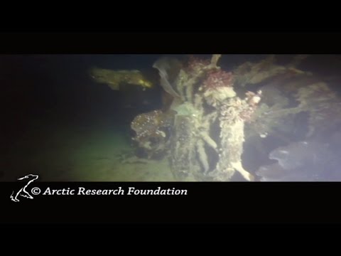 Underwater footage shows 'perfectly preserved' HMS Terror