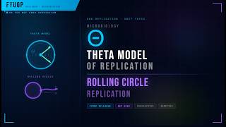 Theta Model and Rolling Circle Replication | Microbiology FYUGP | Kerala University Syllabus
