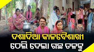 ଗଛ ତଳେ ପୂରା ପରିବାର, ନିରାଶ୍ରୟଙ୍କ ରୋଷେଇ ସେଇଠି | Knews Odisha