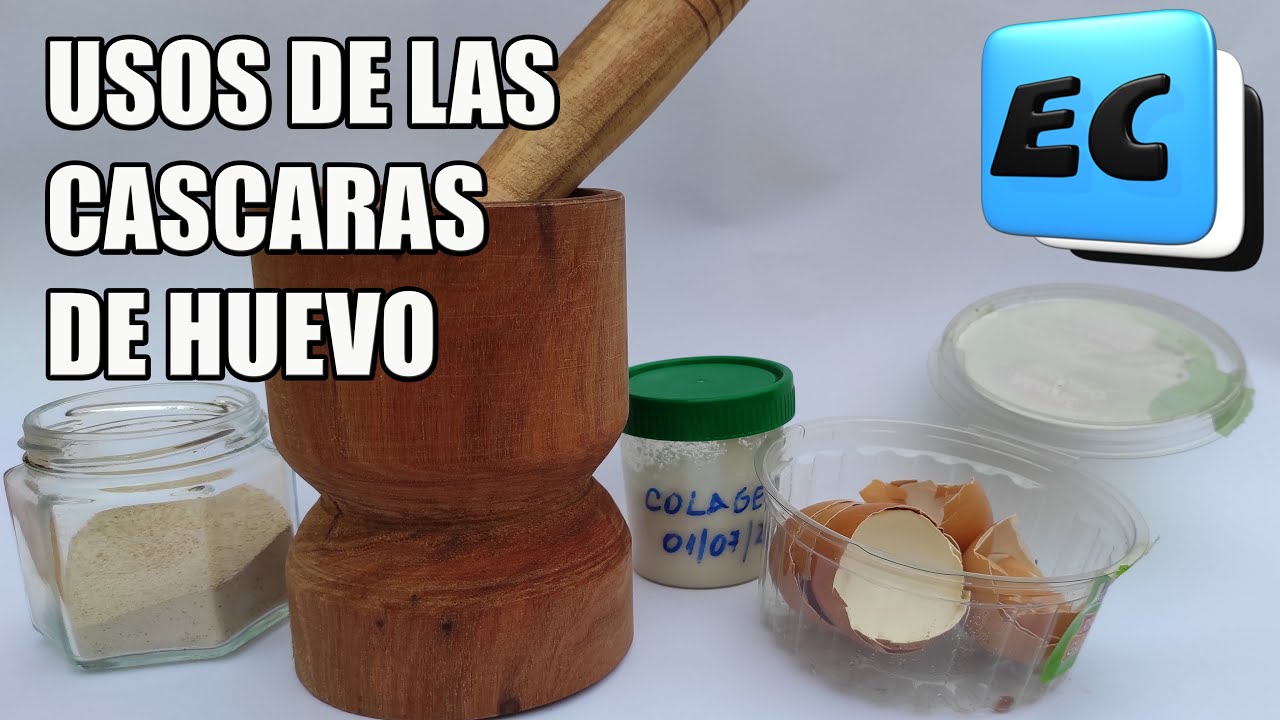 🥚🥚Las asombrosas técnicas con cáscaras de huevo que te dejarán boquiabierto