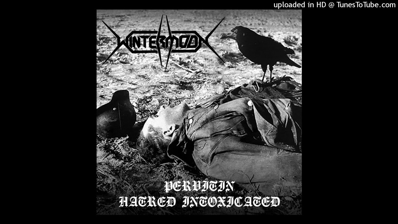 Wintermoon - Einsatzkommando / Follow The Hate (Pervitin Hatred Intoxicated 2021)