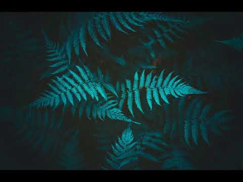 Буктрейлер по книге "Дерево лжи" Буктрейлер по книге "Дерево лжи"