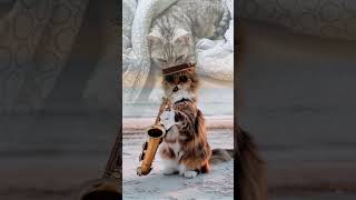 🐈🚨 TWÓJ KOT NIE MIESZKA U CIEBIE… TO TY JESTEŚ JEGO PERSONELEM! 😂👑