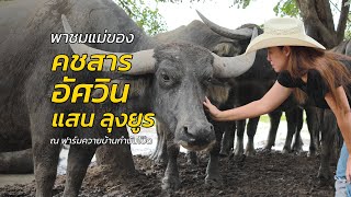 เปิดคอก...