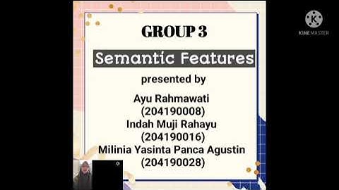 Semantic Features by group 3