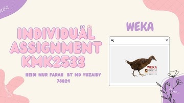 KMK2533 WEKA Assignment 1 Clustering