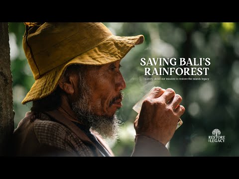 Does Bali Have Rainforest