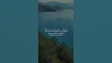 تلاوة عطرة تريح النفس من سورة الزمر بصوت مصطفى شريف #قران_كريم #أرح_نفسك4u #راحة_نفسية_للقلب #الله