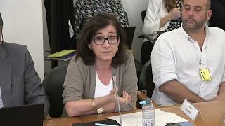 22-10-2025 | Audição peticionários - Alargamento da Licença Parental Inicial | Ana Paula Bernardo