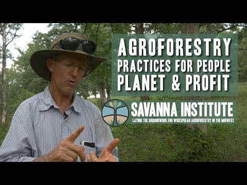 Agroforestry Practices for People, Profit and Planet