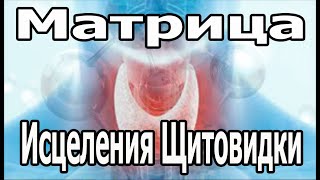 Матрица Исцеления Щитовидки И Всей Эндокринной Системы | 5 Минут И Тело Начнет Себя Лечить