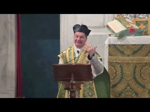 January 25, 2026 - Third Sunday after the Epiphany - Homily by Father Ludovico Sentagne