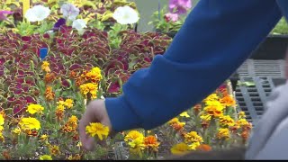Marshall County Schools' student-run greenhouses teach invaluable life lessons and opens to the publ
